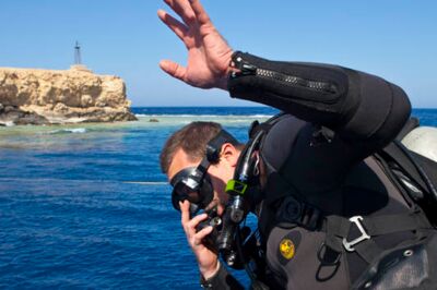 Gesichter hinter f&t Details zu Schiffsreisen